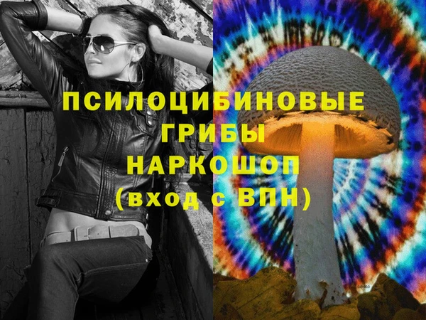 а пвп мука Алзамай