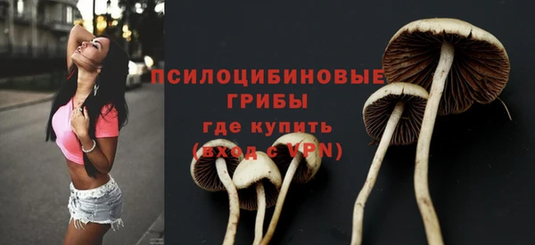 ПСИЛОЦИБИНОВЫЕ ГРИБЫ Алексеевка