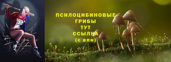ПСИЛОЦИБИНОВЫЕ ГРИБЫ Алексеевка