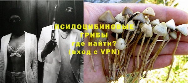 а пвп мука Алзамай