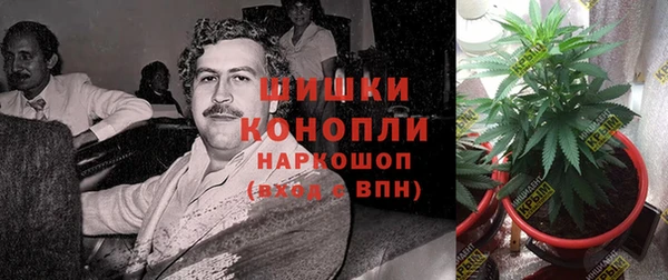 ПСИЛОЦИБИНОВЫЕ ГРИБЫ Алексеевка