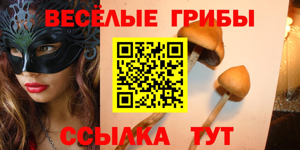 Галлюциногенные грибы GOLDEN TEACHER Выкса